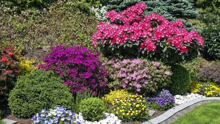Selección de plantas para jardines exteriores